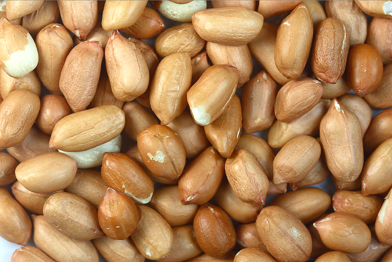 Peanut Kernels